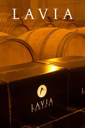 Lavia
