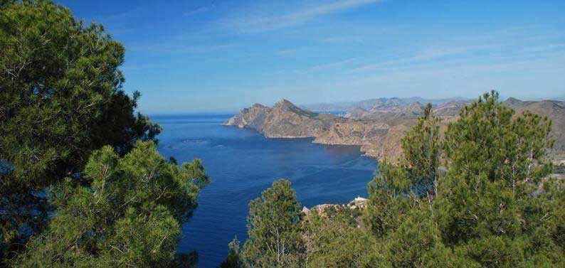 Cala-Reona2