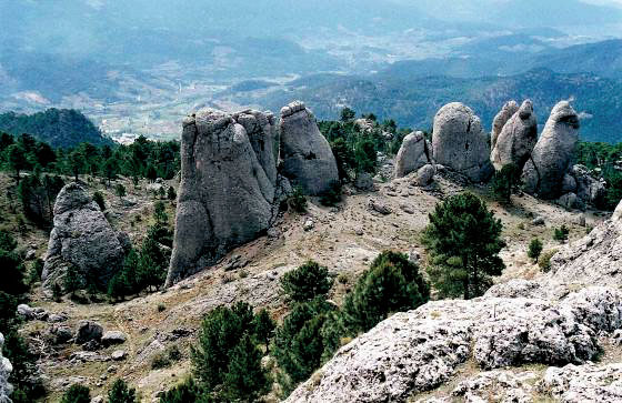 Pernales1