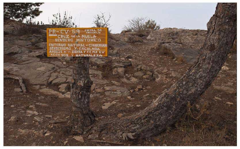 TrotadaOrihuela1