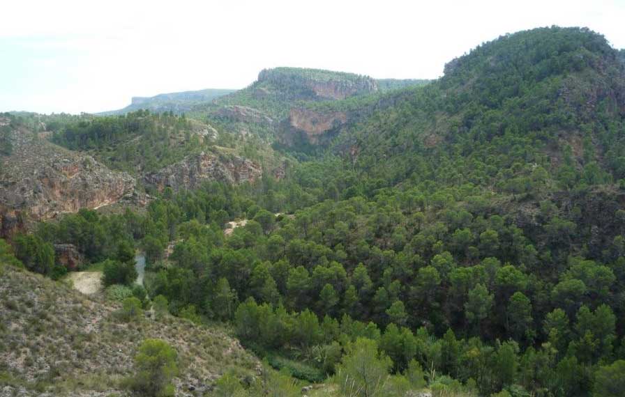 lasHocesdelSegura1