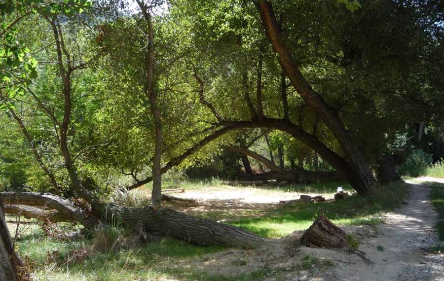 lasHocesdelSegura3