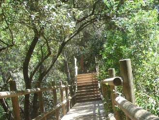 Barranco-de-la-regidora1