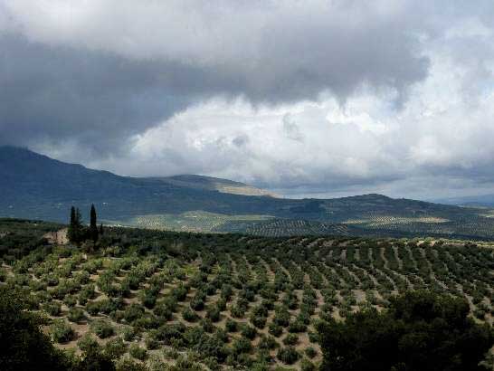 SierraMágina5