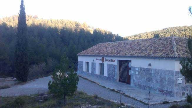madroño3