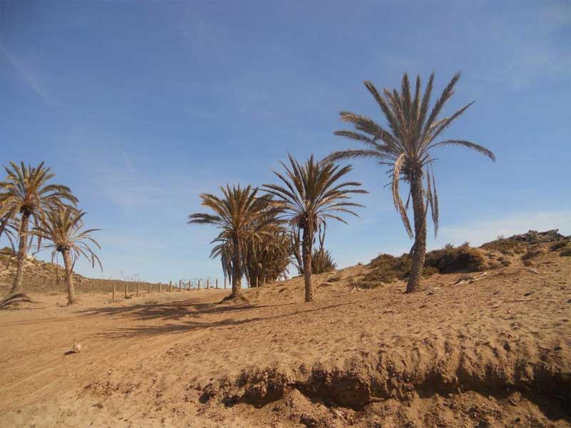 Bolnuevo3