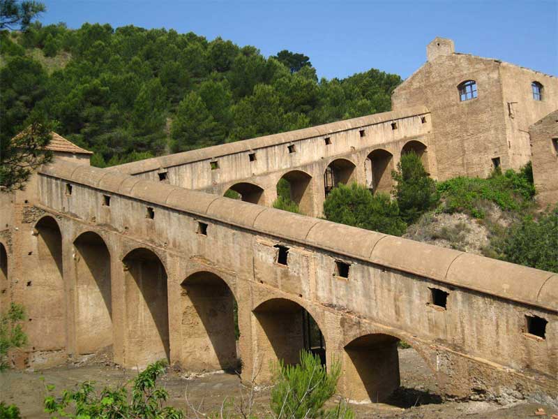 El-Lirio1