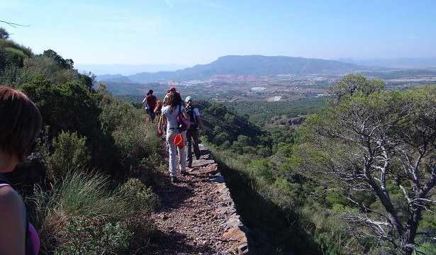ElBosquecillo4