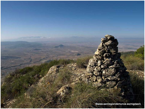 ElMadroñal1