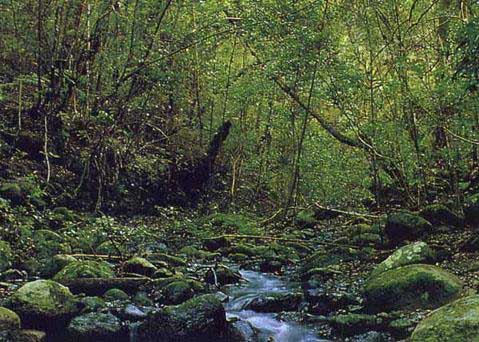 La-Gomera6