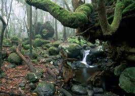 La-Gomera7