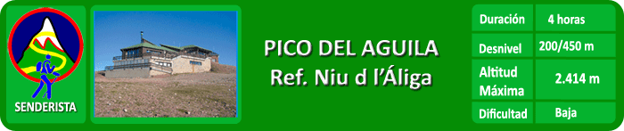 NIDO-DEL-AGUILA