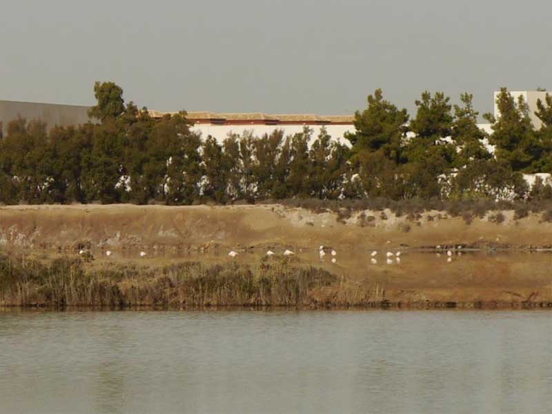 NordicWTorre4