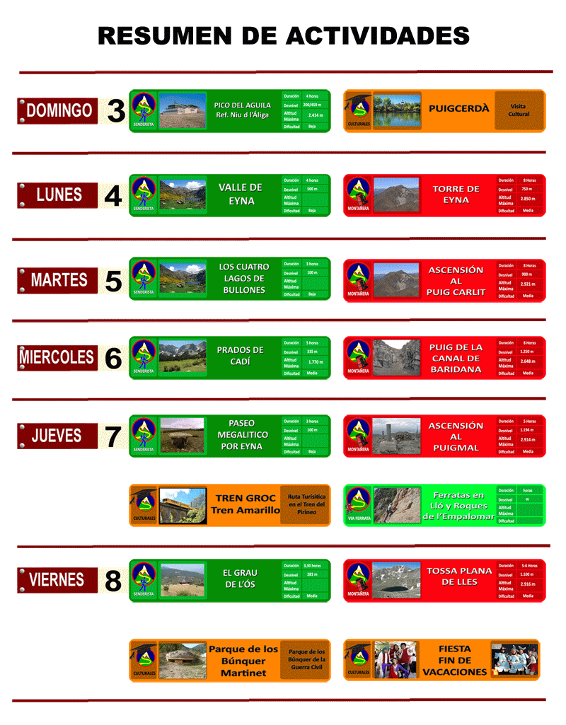 RESUMEN-ACTIVIDADES-WEB