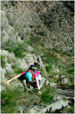 Sierra-de-Callosa3