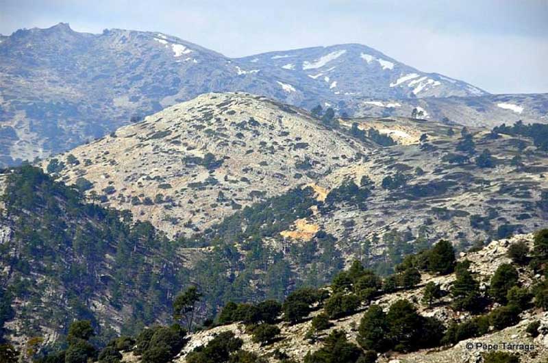 SierraSeca1