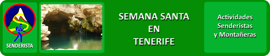 Teneride