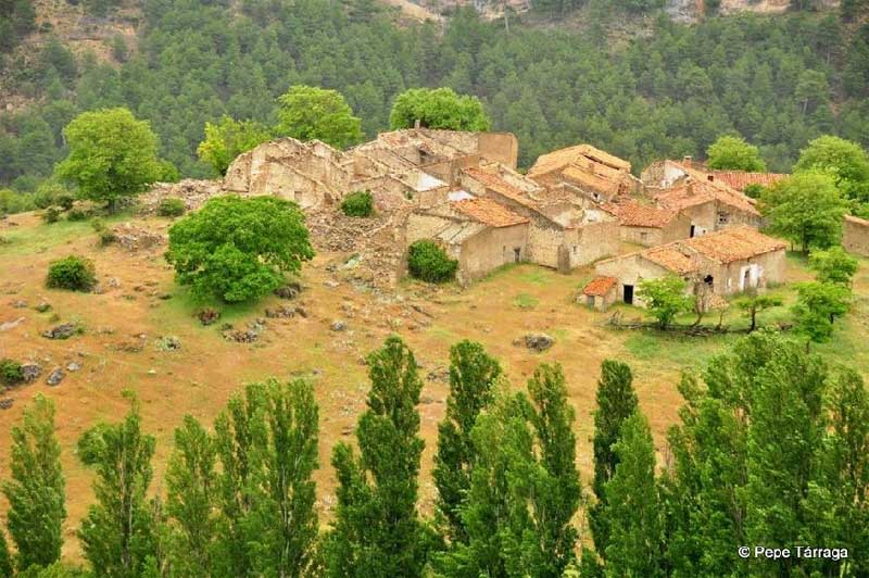 TravesiaBosquesSegura1