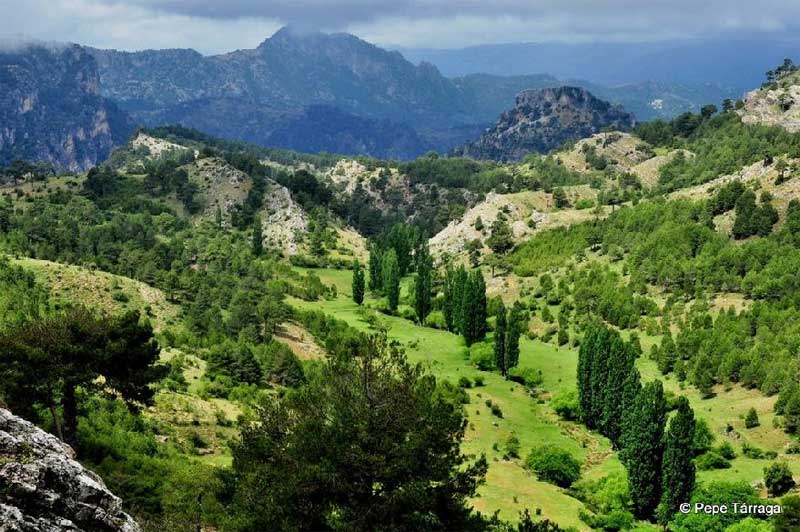 TravesiaBosquesSegura3