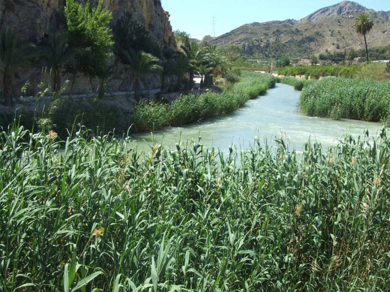 ValleMorisco5