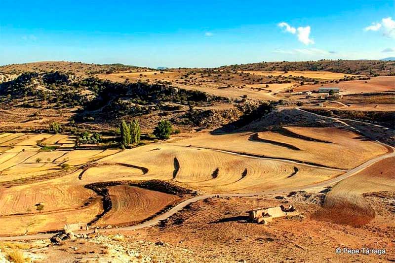 LaJarosa3