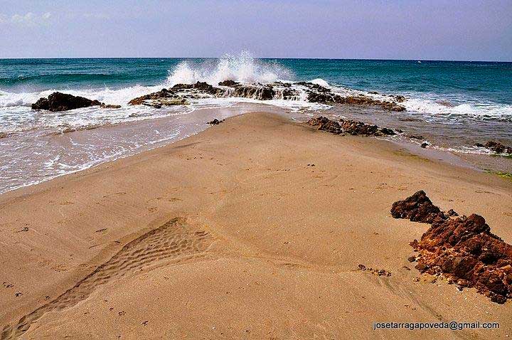 CabodeGata4