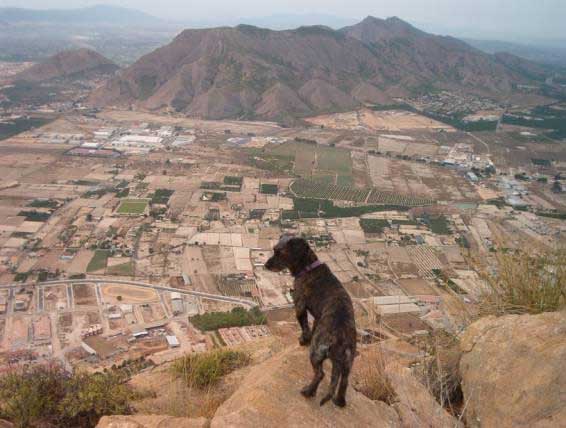 SierradeCallosa2
