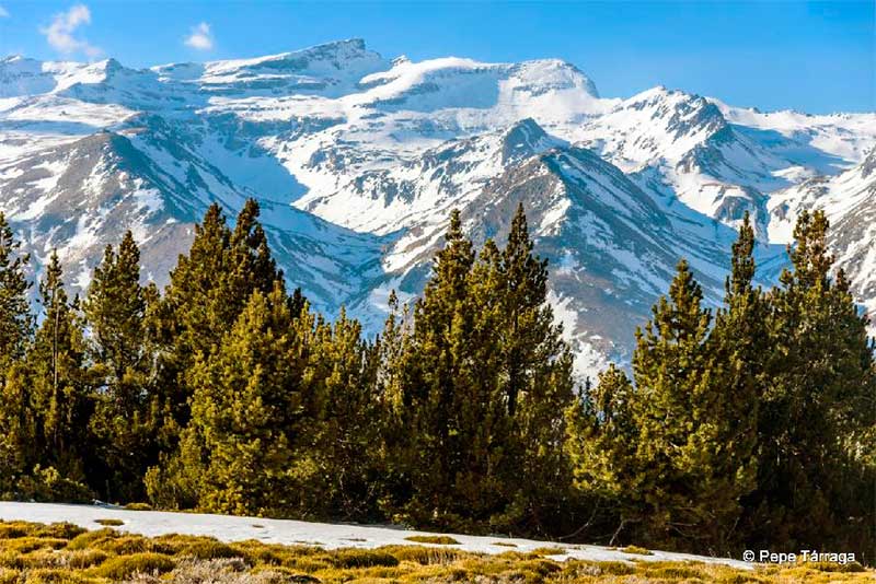 Alpujarras1