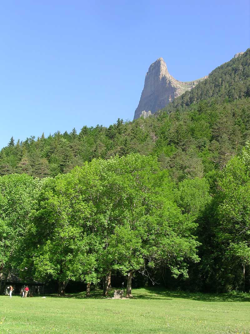 AvanzadillaOrdesa8