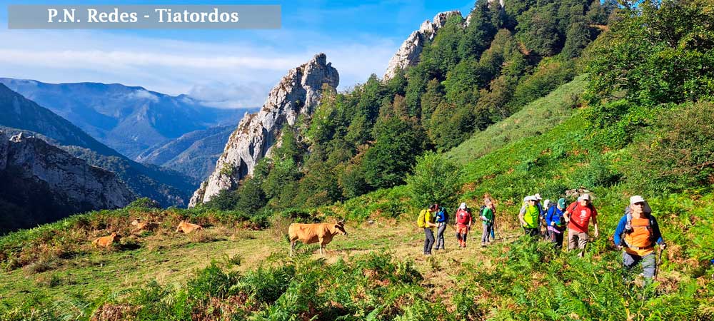 Redes-Tiatordos